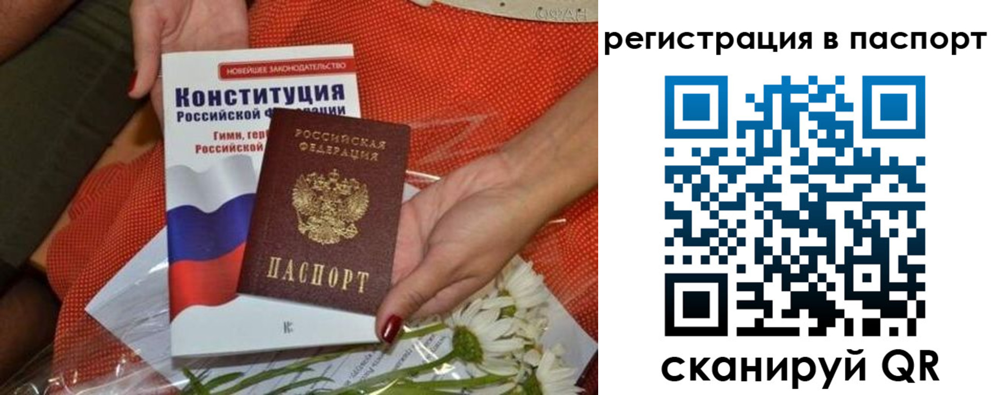 временная регистрация поиск в Павловске